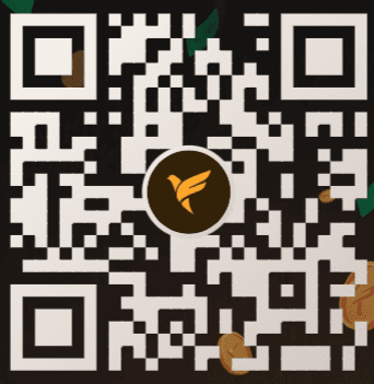 UPI QR code for ₹20